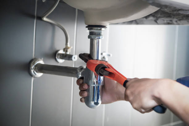 Best Commercial Plumbing Services  in Palatka, FL